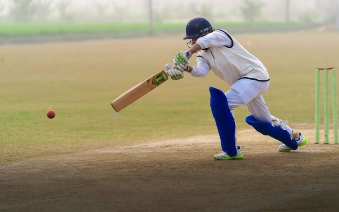 Double Blade Vs. Single Blade Cricket Bats